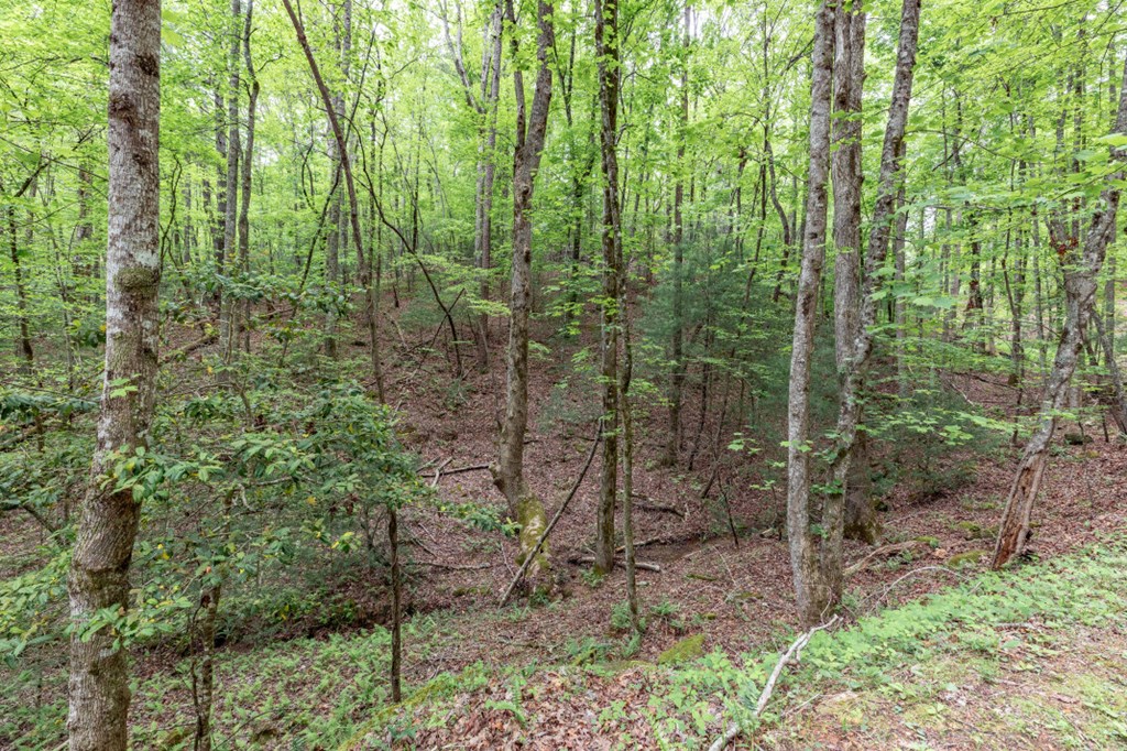 Lot 17 Lower Gap Road