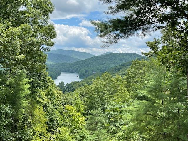 467 Necowa Cove Overlook