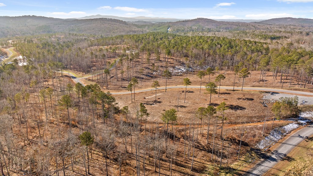 Lot 293 Twisted Oak Road