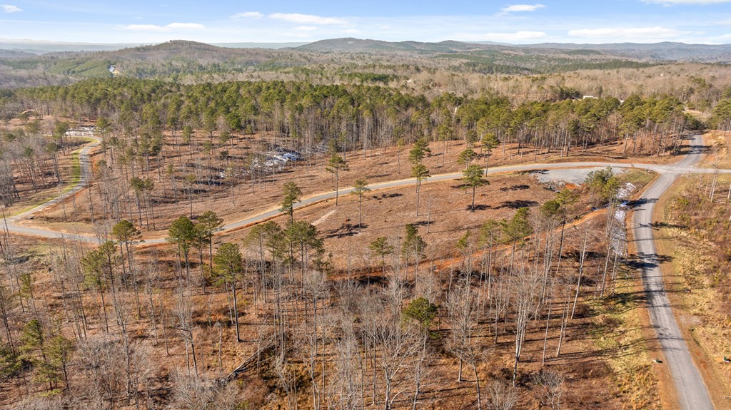 Lot 293 Twisted Oak Road