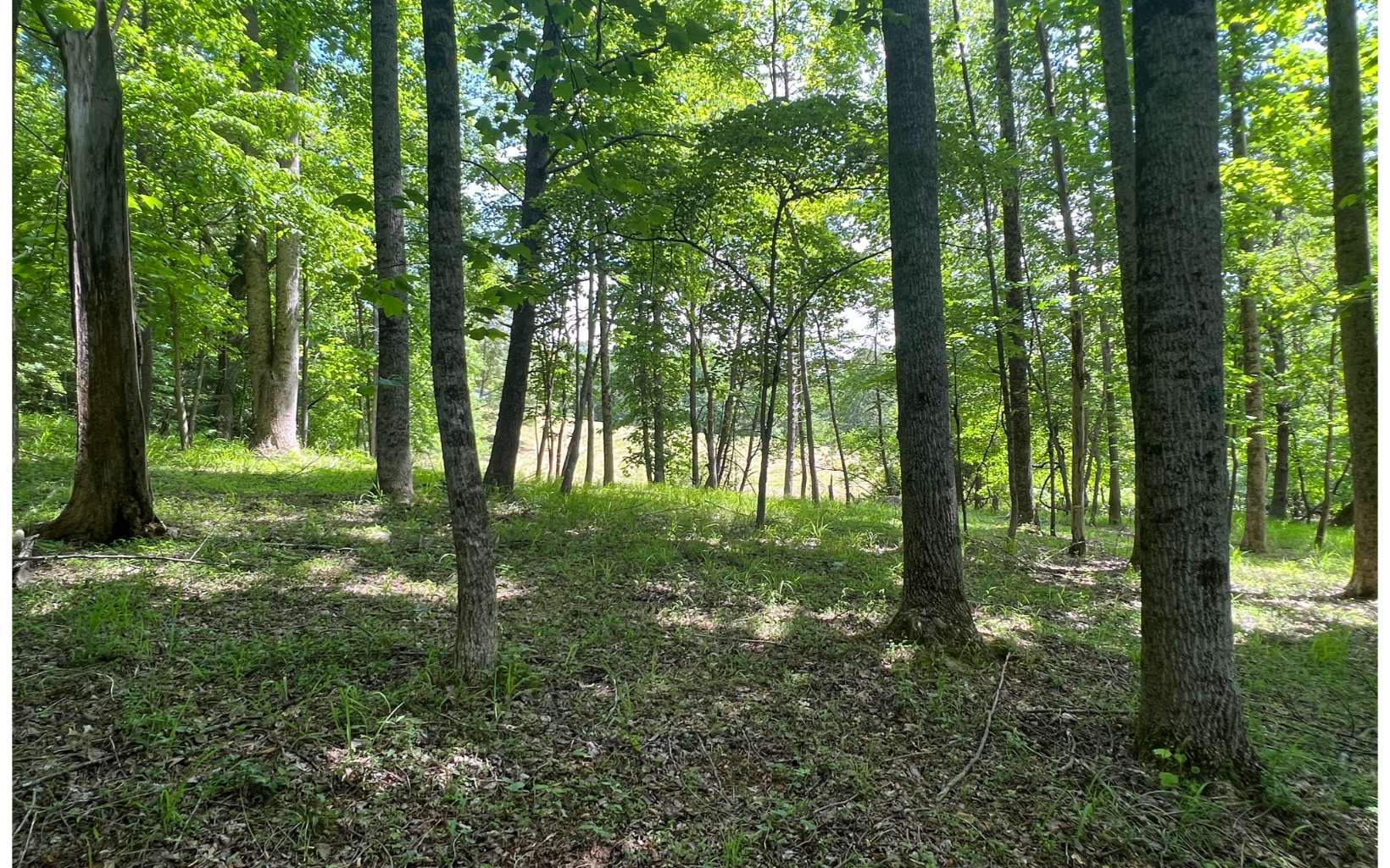 641 Windy Ridge Road