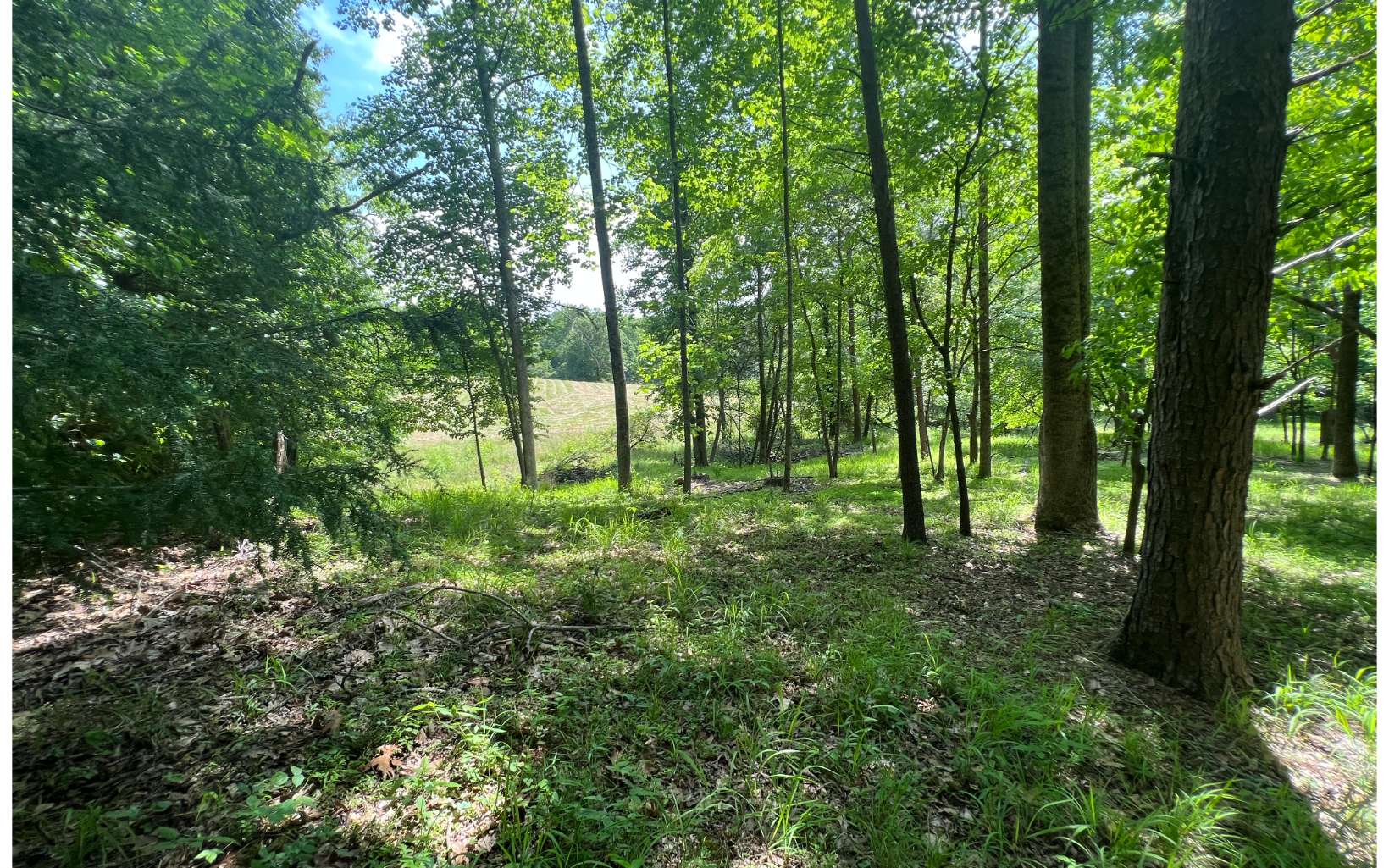 641 Windy Ridge Road