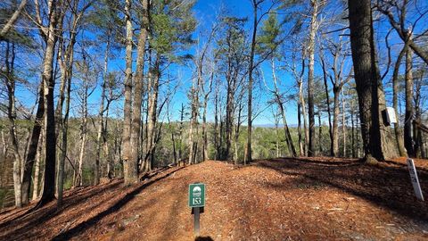153 Red Oak Trail Ellijay GA 30540