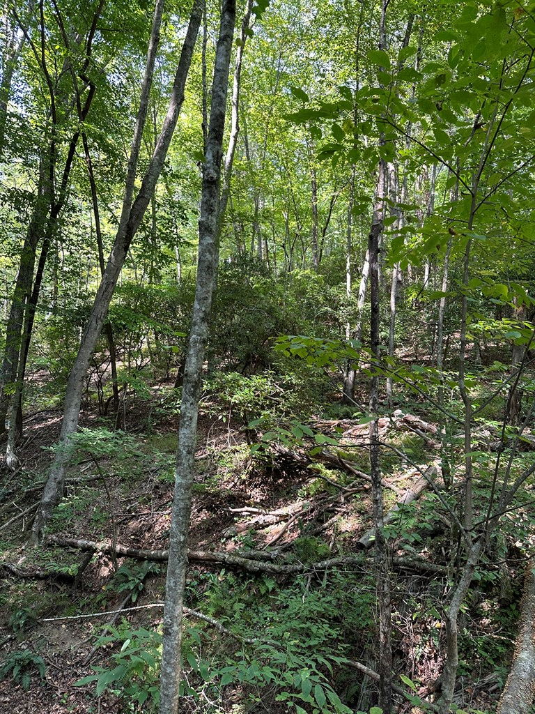 Tract A Fielder Road