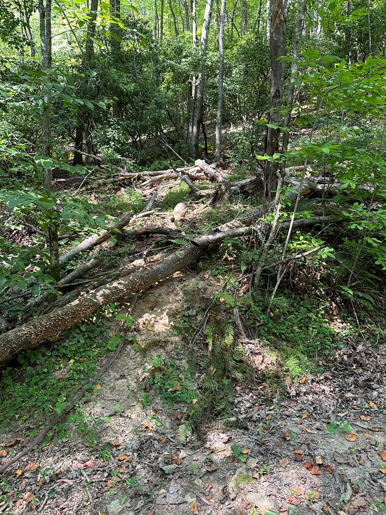 Tract A Fielder Road