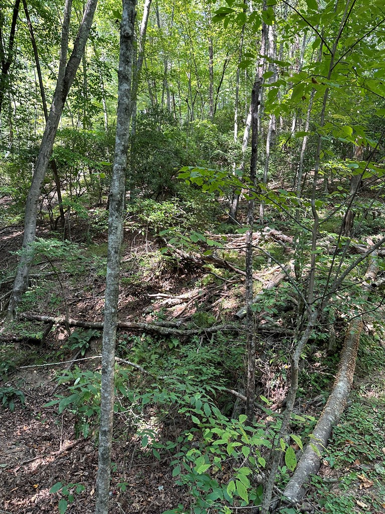 Tract A Fielder Road