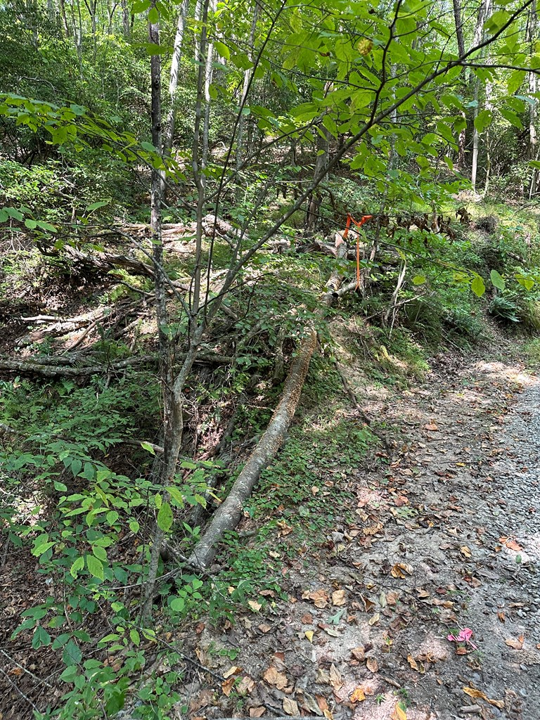 Tract A Fielder Road