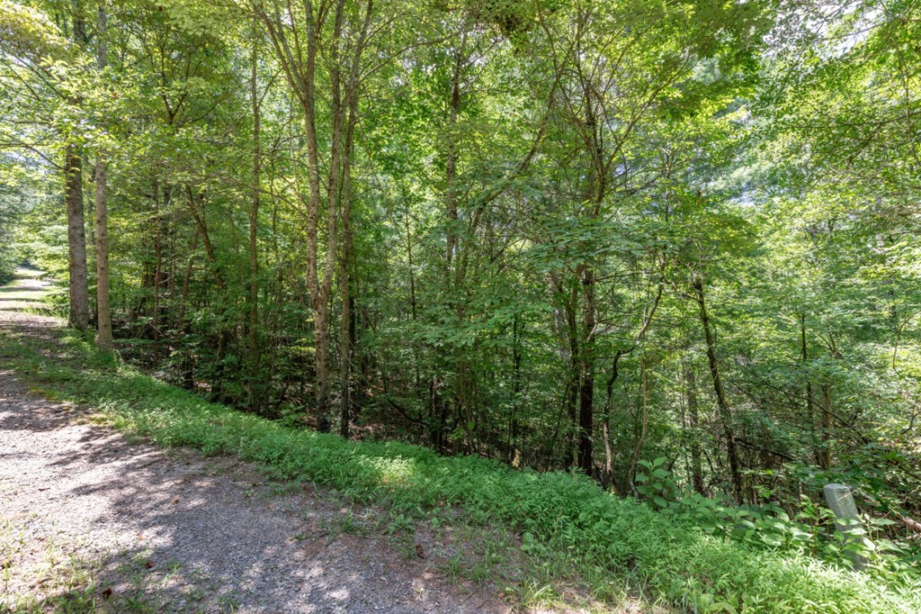 Lot 1687 Shade Tree Drive