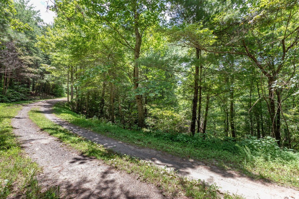 Lot 1687 Shade Tree Drive