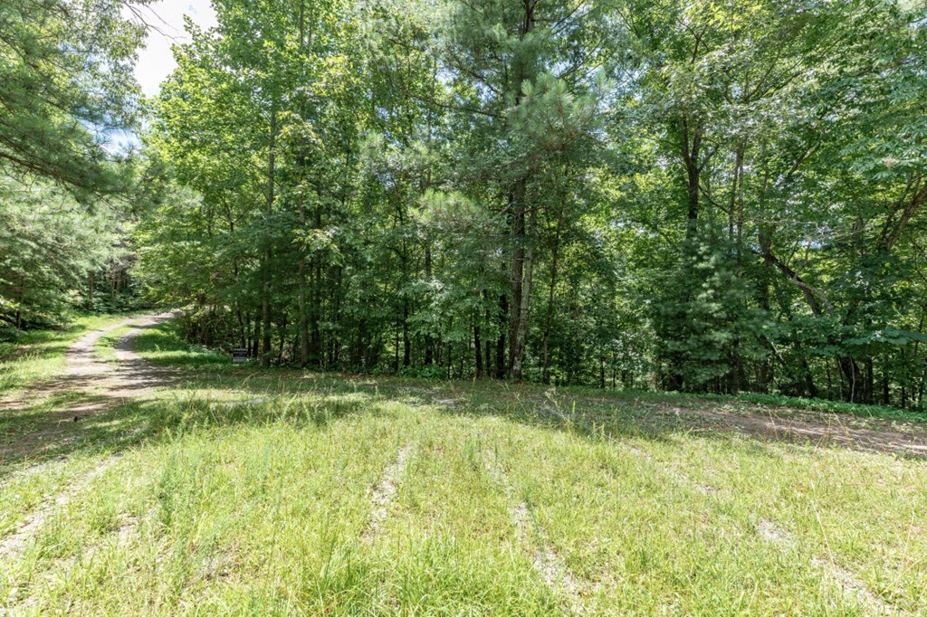 Lot 1687 Shade Tree Drive
