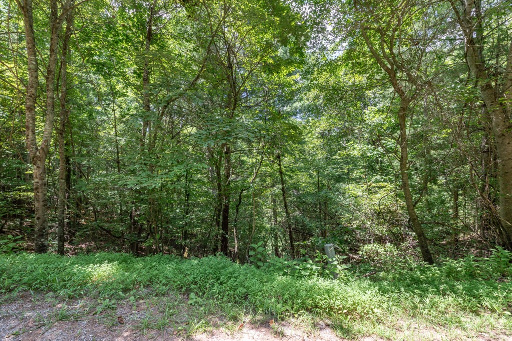 Lot 1687 Shade Tree Drive