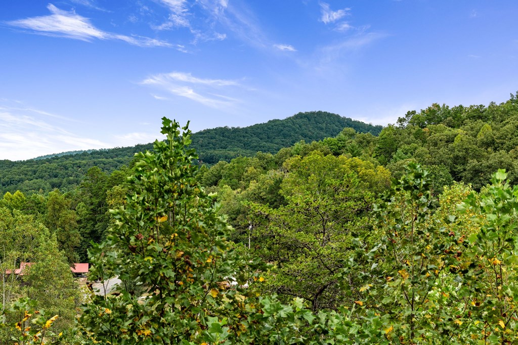 6 Gilliam Road