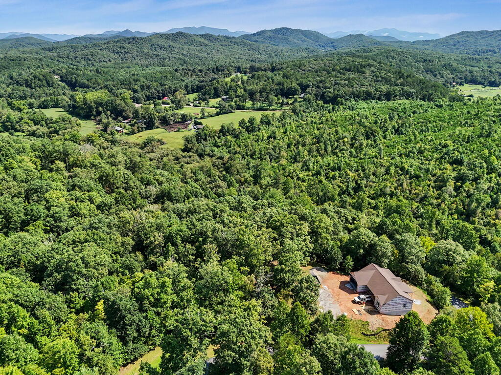 Lot 2 Brasstown Trails