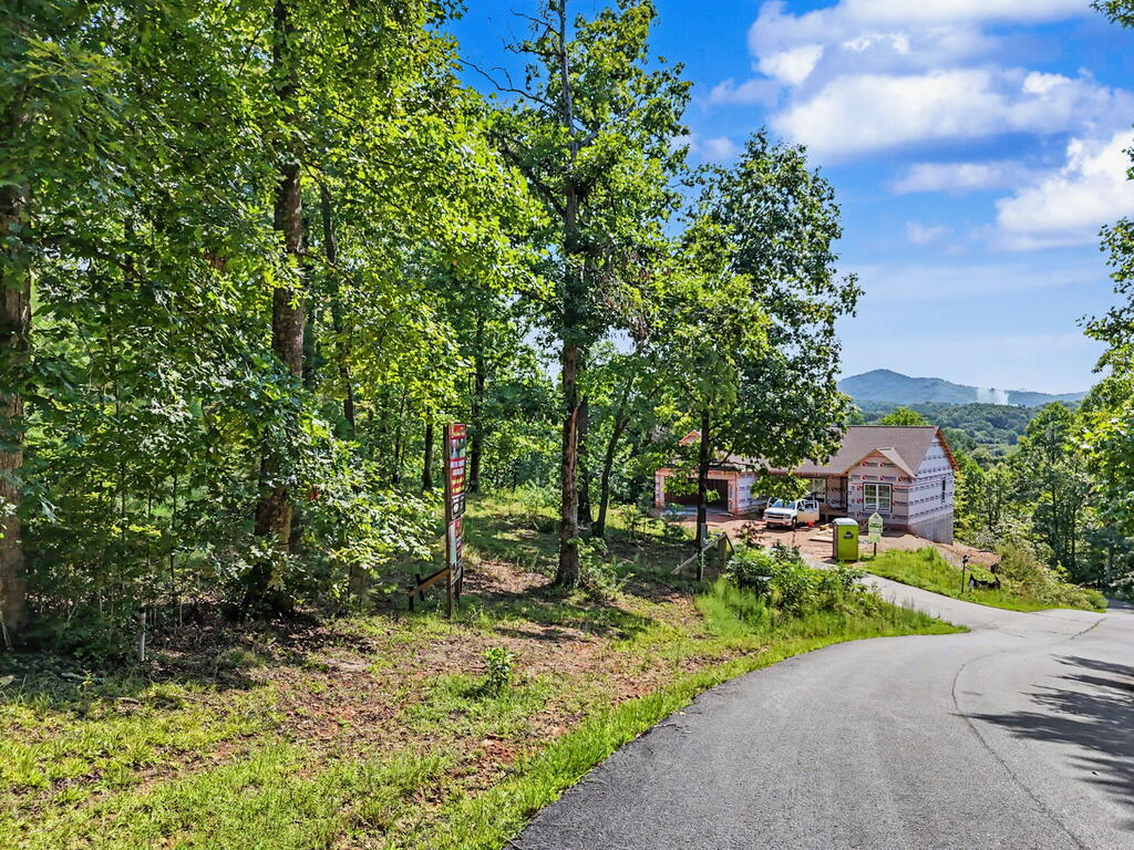 Lot 2 Brasstown Trails
