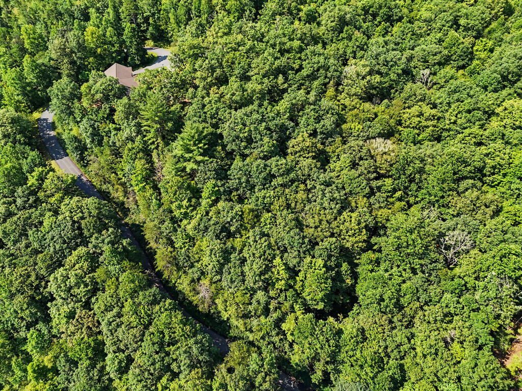 Lot 2 Brasstown Trails