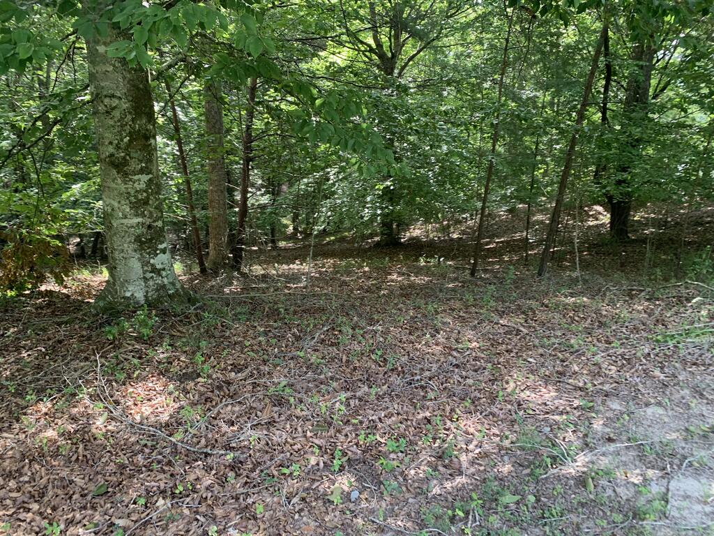 4,5&6 Mountain Wood Drive