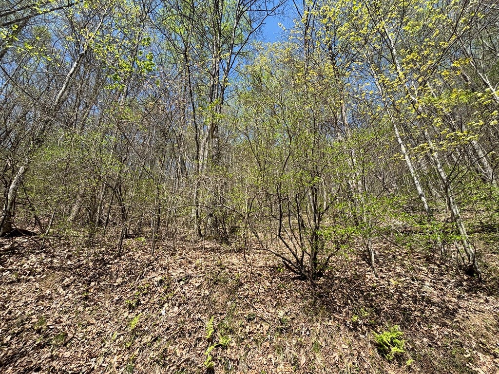 Lot 4 Outlook Road