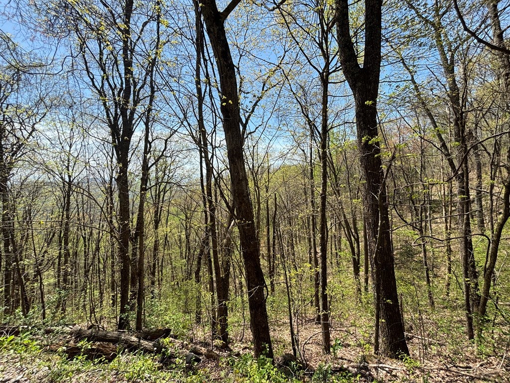 Lot 4 Outlook Road