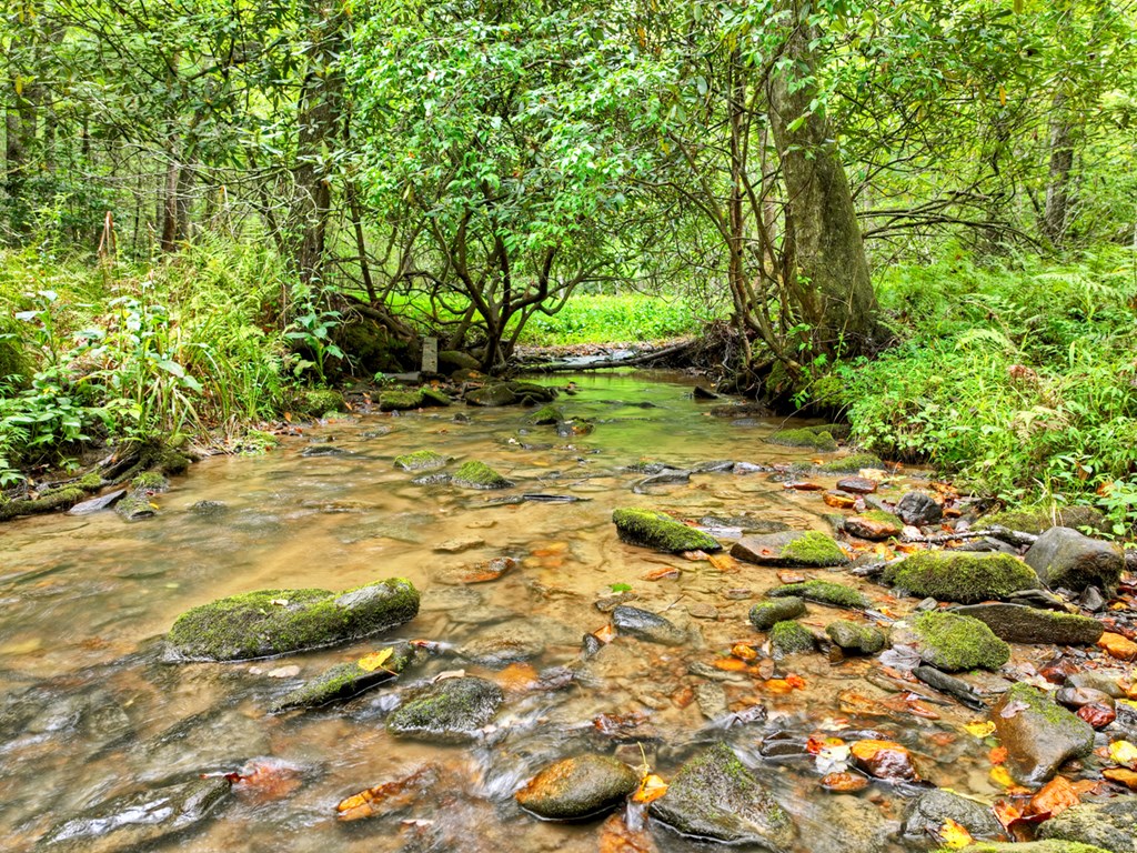 Lot 45 Synacia Drive