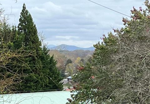 A home in Blue Ridge