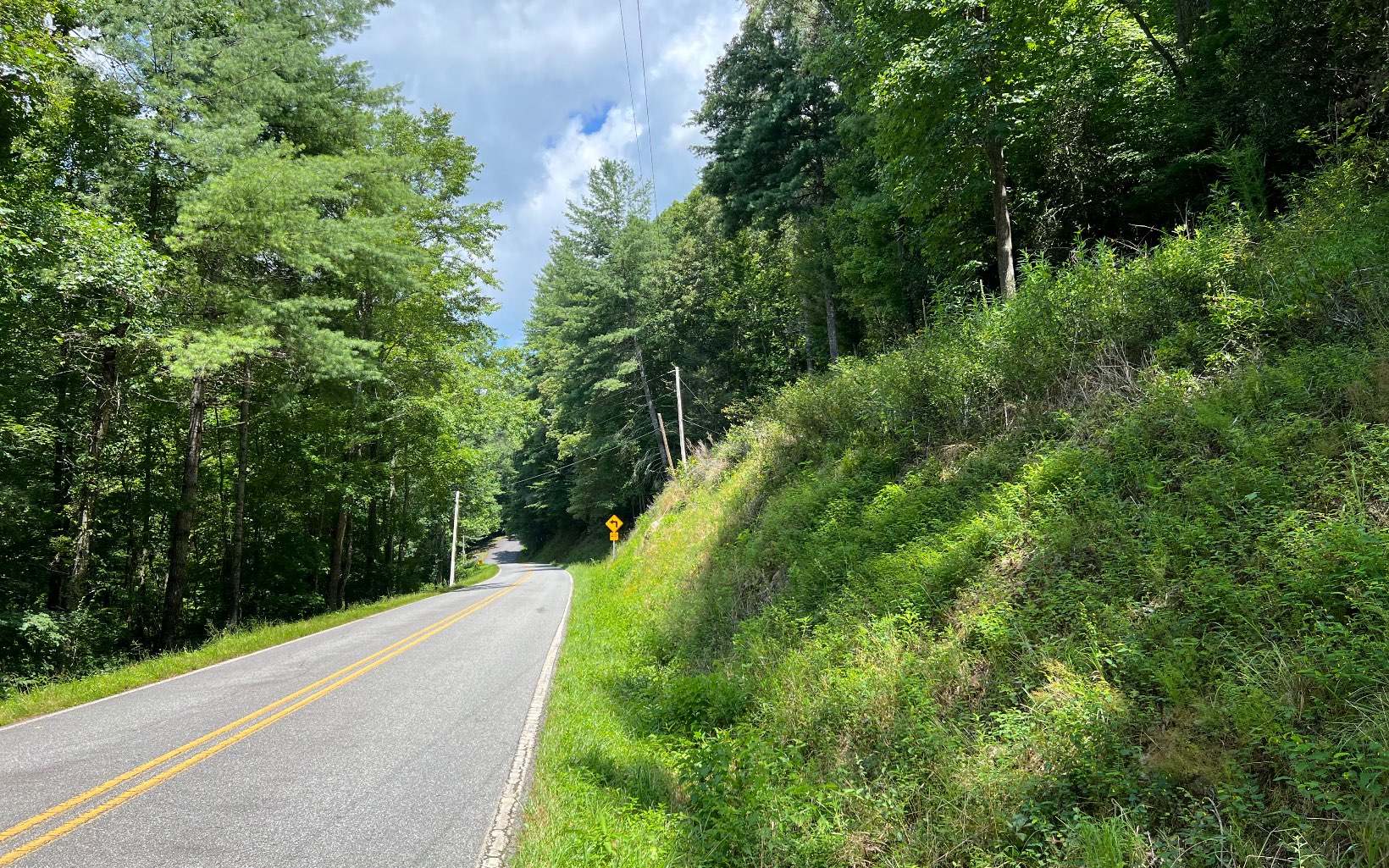 TR 1 Fires Creek Cove Road