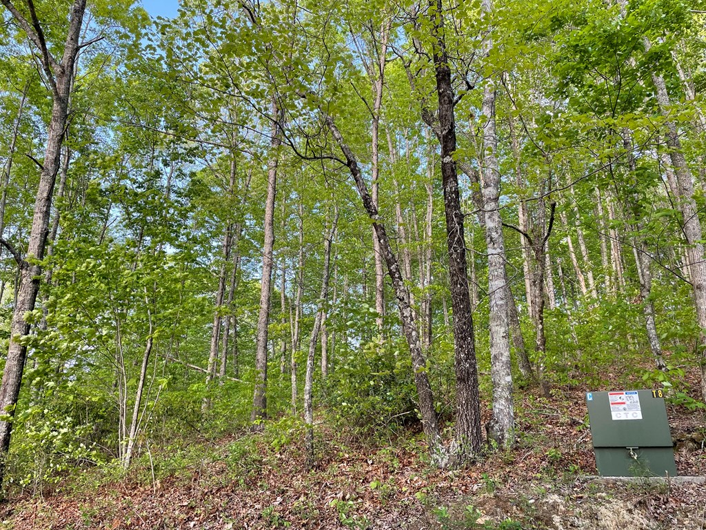 N/A Trillium Heights