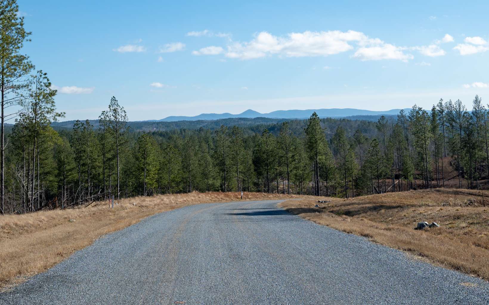 Ellijay, Georgia 30540, United States, ,Land,Active,66932