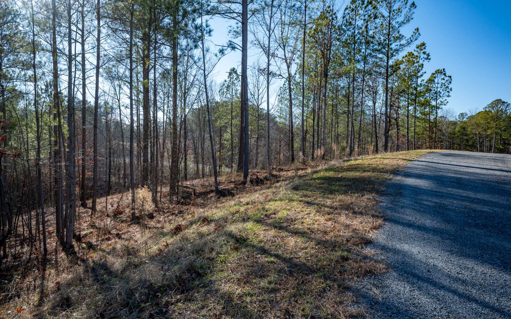 Ellijay, Georgia 30540, United States, ,Land,Active,66932