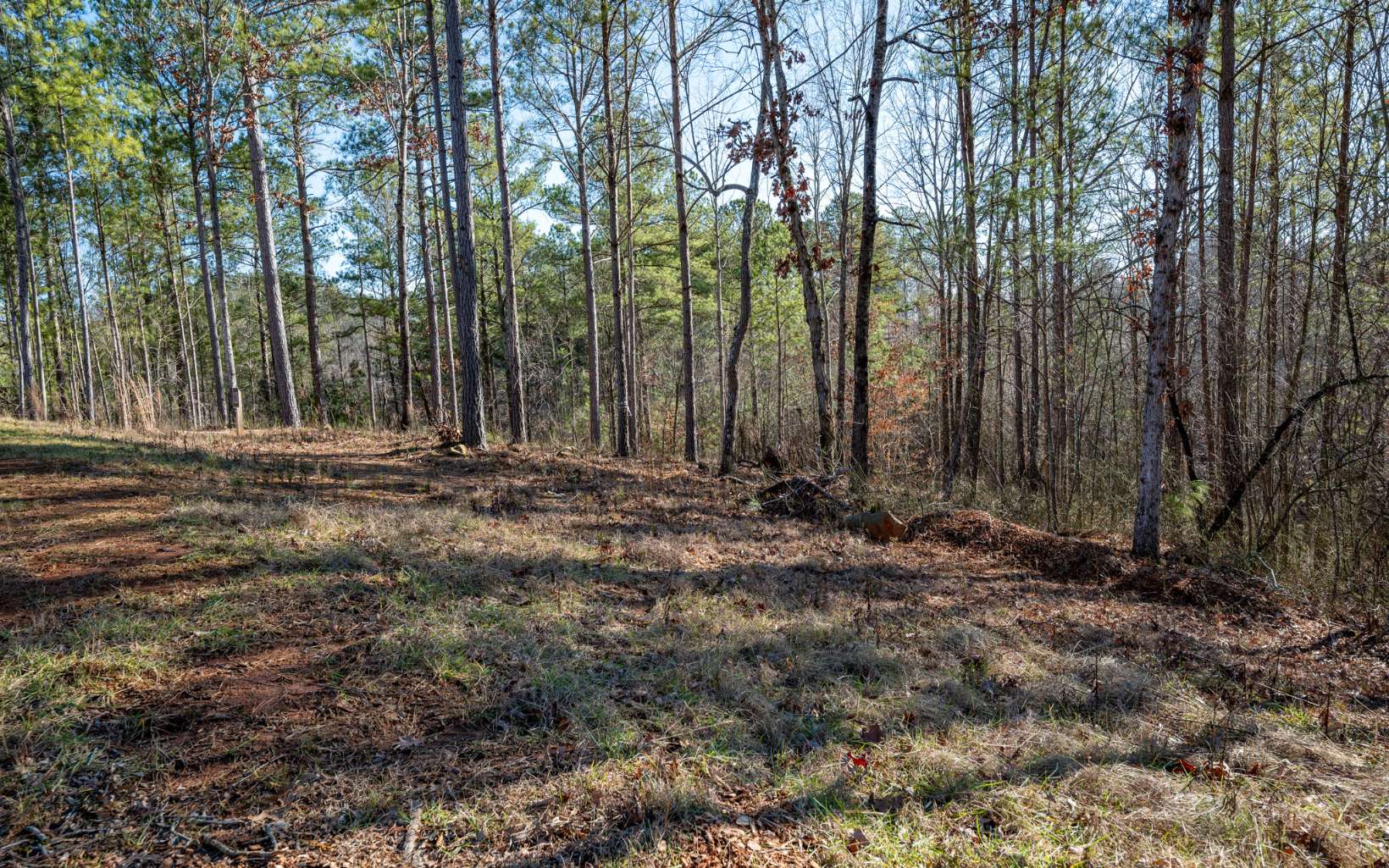 Ellijay, Georgia 30540, United States, ,Land,Active,66932