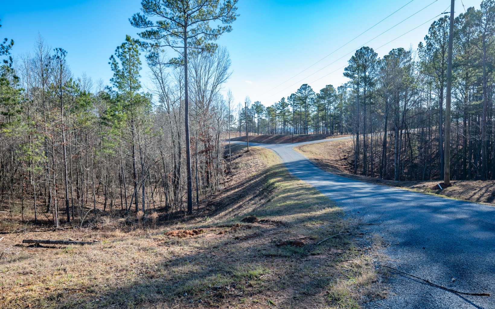 Ellijay, Georgia 30540, United States, ,Land,Active,66932