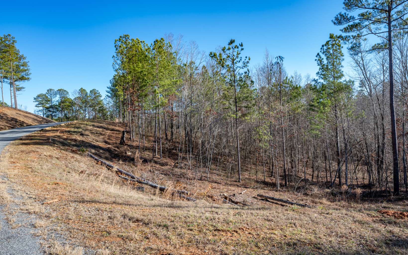 Ellijay, Georgia 30540, United States, ,Land,Active,66932