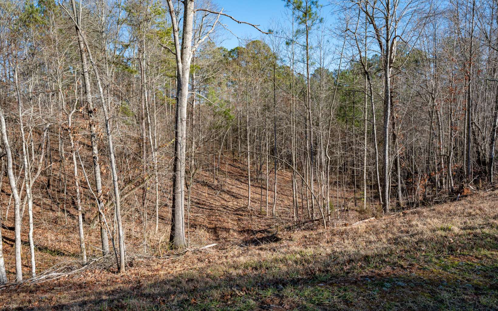 Ellijay, Georgia 30540, United States, ,Land,Active,66932