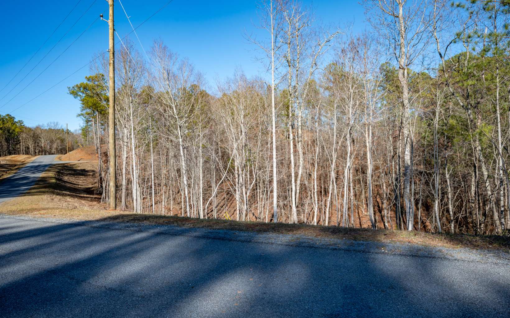 Ellijay, Georgia 30540, United States, ,Land,Active,66932