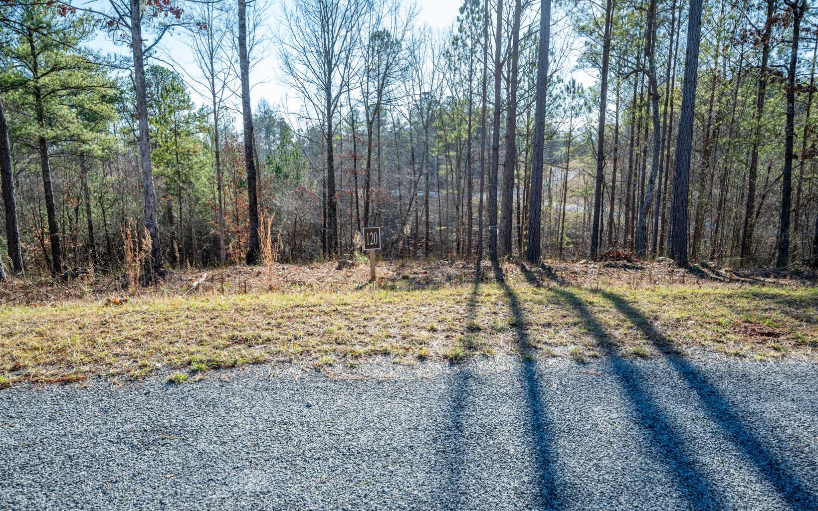 Ellijay, Georgia 30540, United States, ,Land,Active,66932