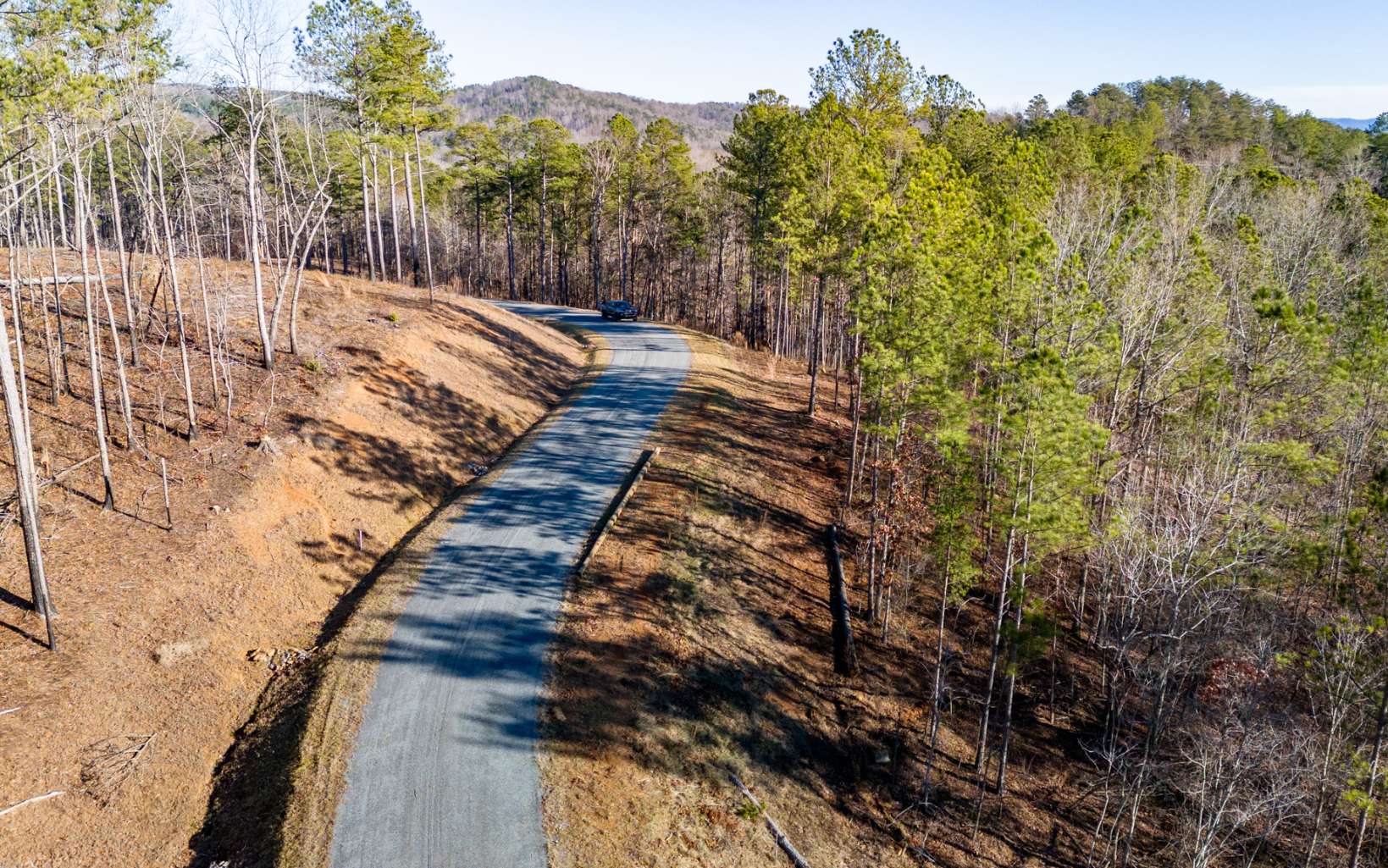Ellijay, Georgia 30540, United States, ,Land,Active,66932