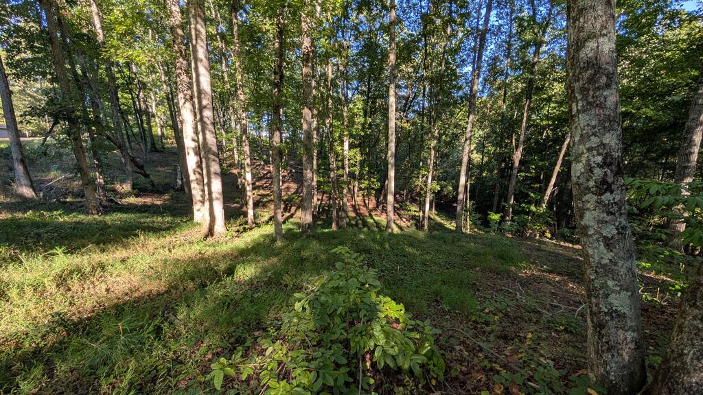Lot 1 White Oak Circle