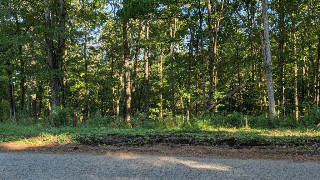 Lot 1 White Oak Circle