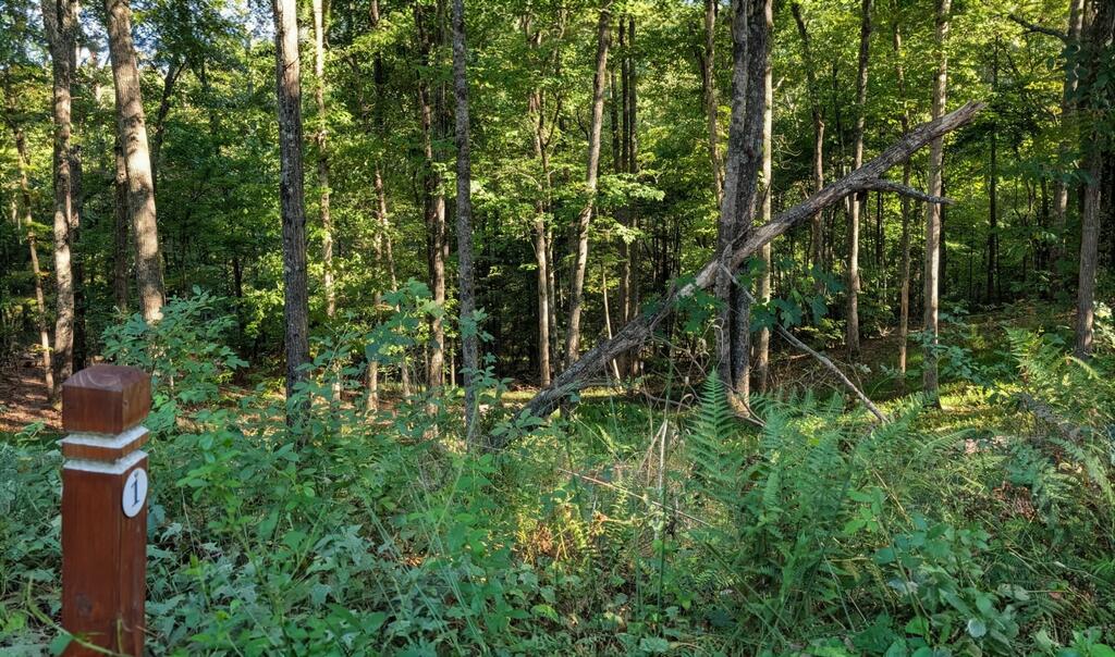 Lot 1 White Oak Circle
