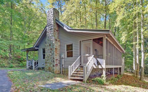 269 Brown Mountain Drive Suches GA 30572