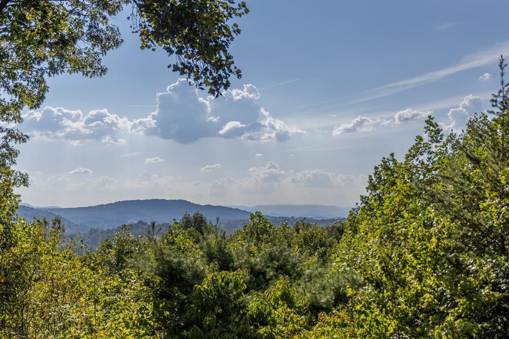 194 Squirrel Chase Drive