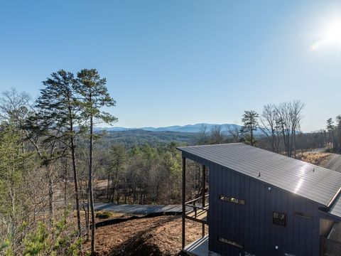 A home in Mineral Bluff