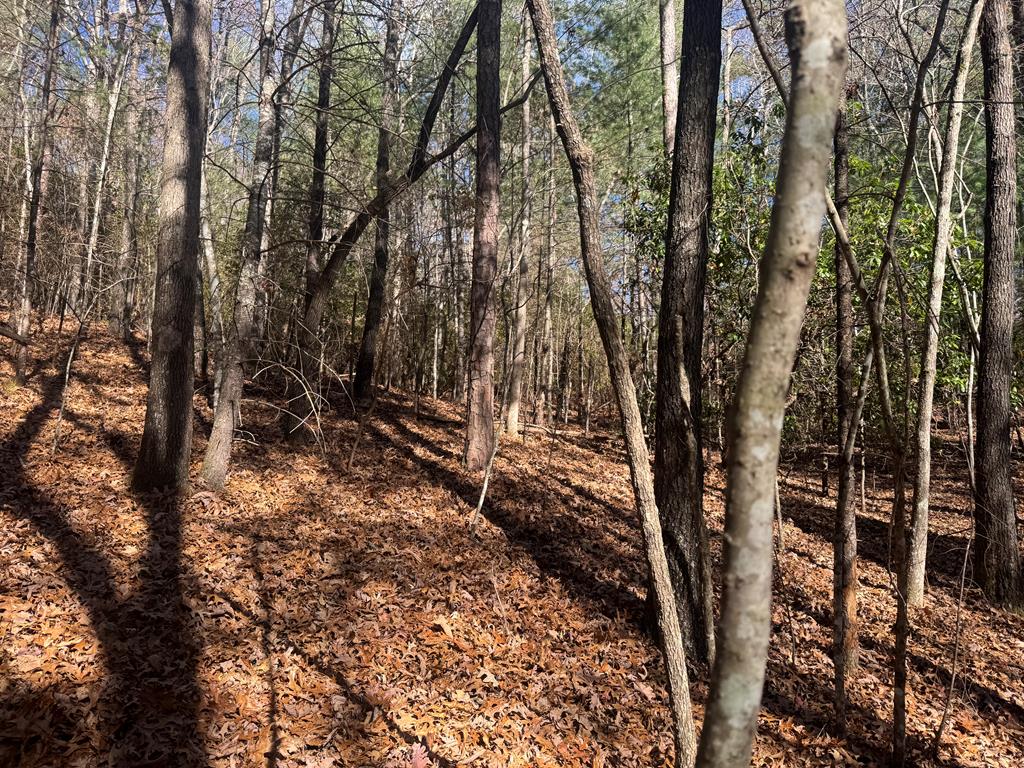 1982 Pinelog Church Road