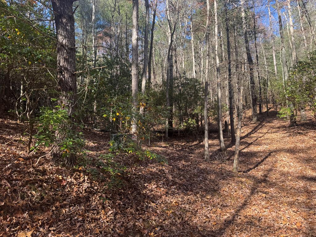 1982 Pinelog Church Road