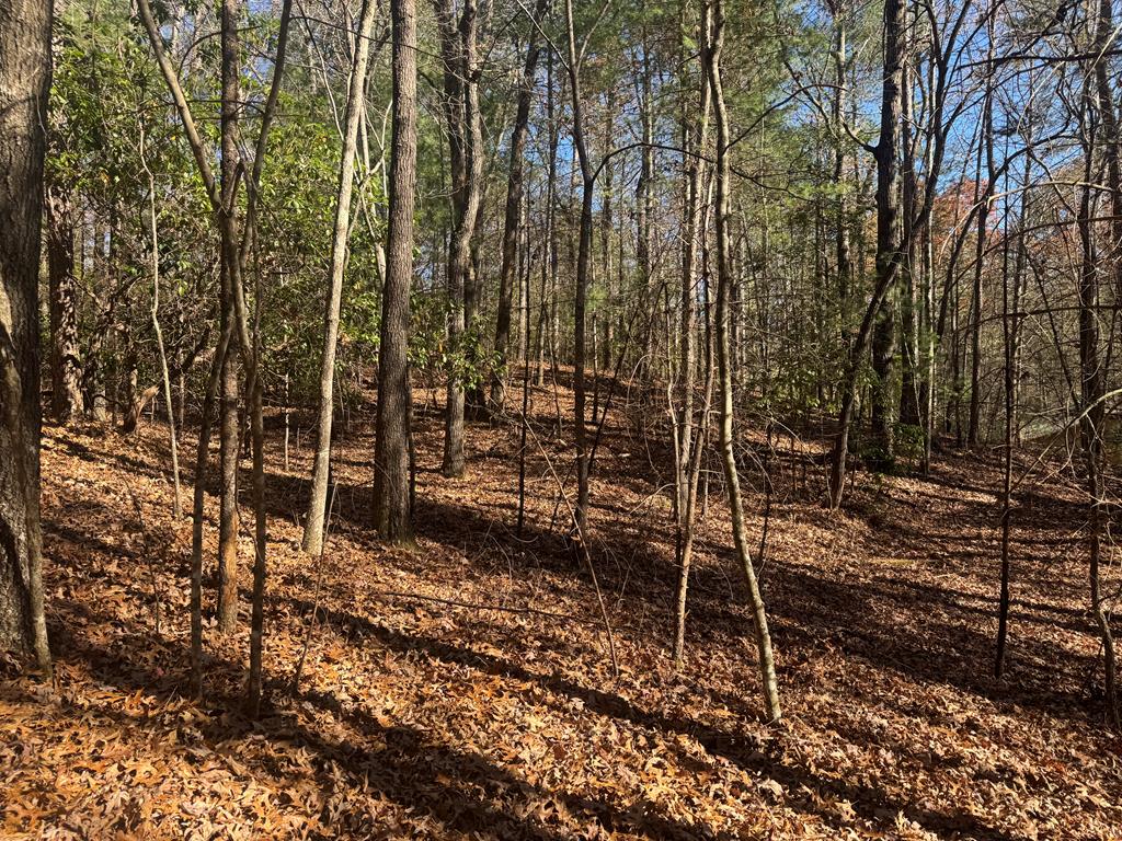 1982 Pinelog Church Road