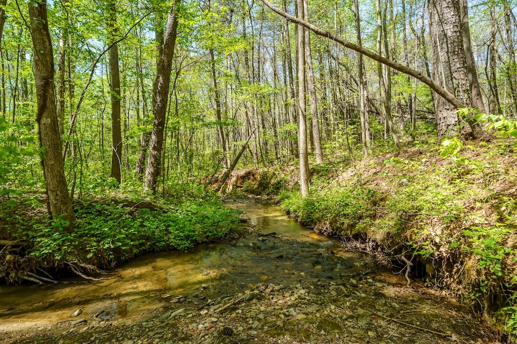 000 Burnt Mountain Road