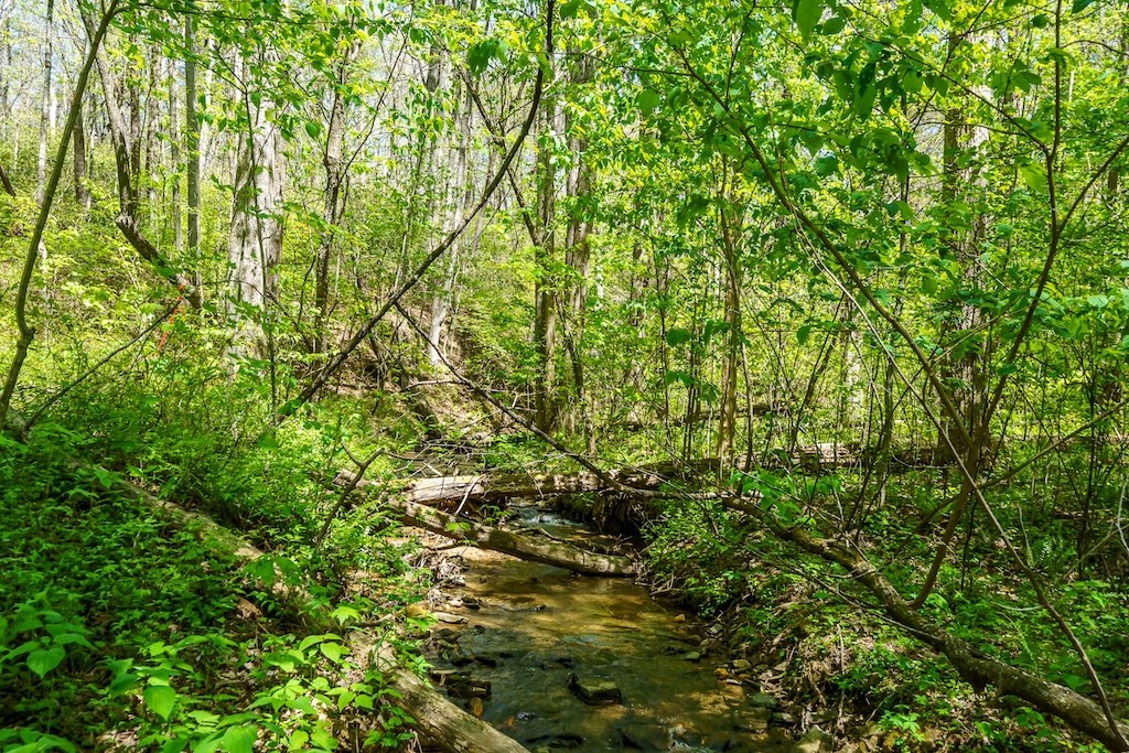 000 Burnt Mountain Road