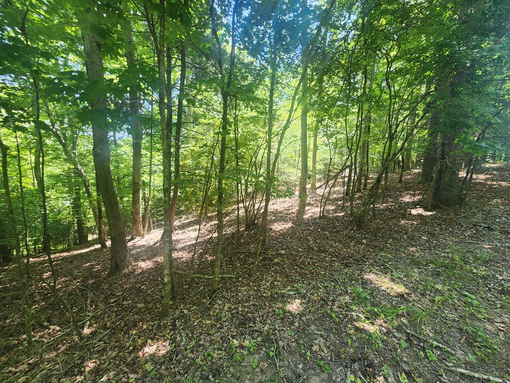 Lot 3 Meadow View Drive