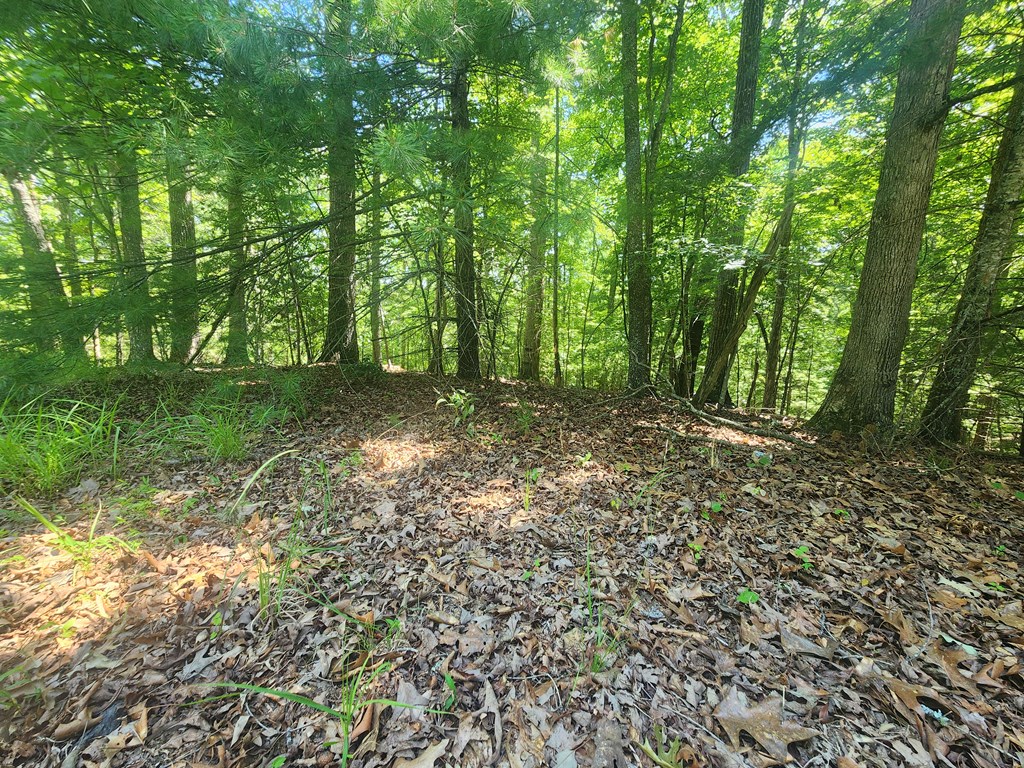 Lot 3 Meadow View Drive