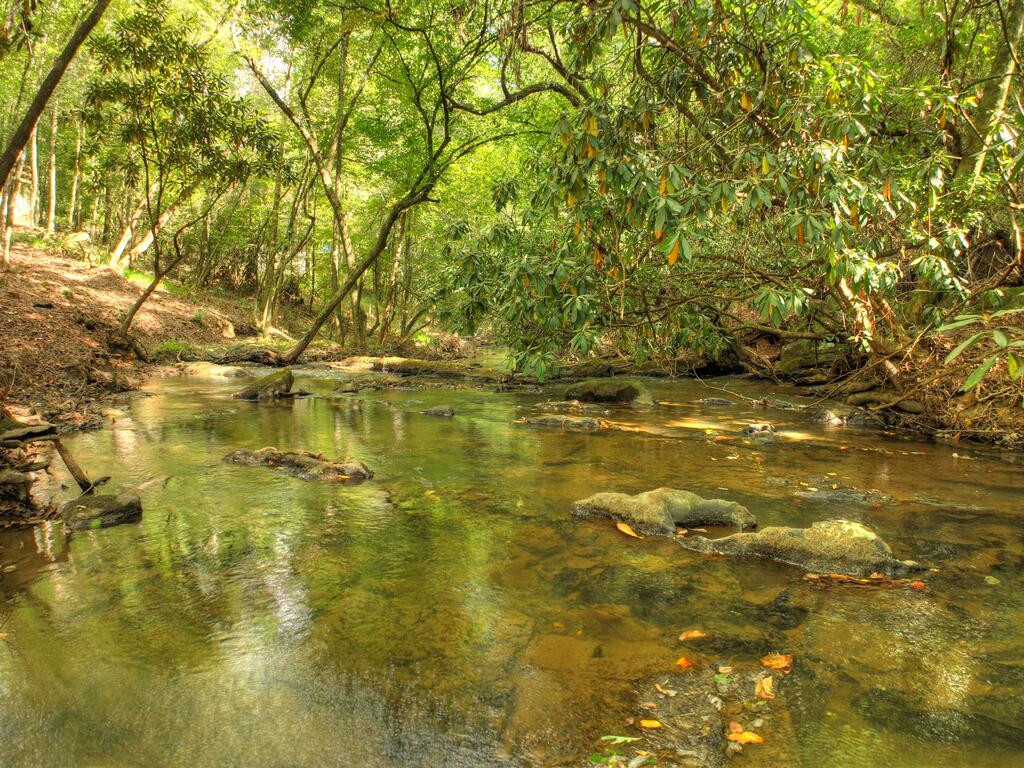 390 Twin Creeks Road