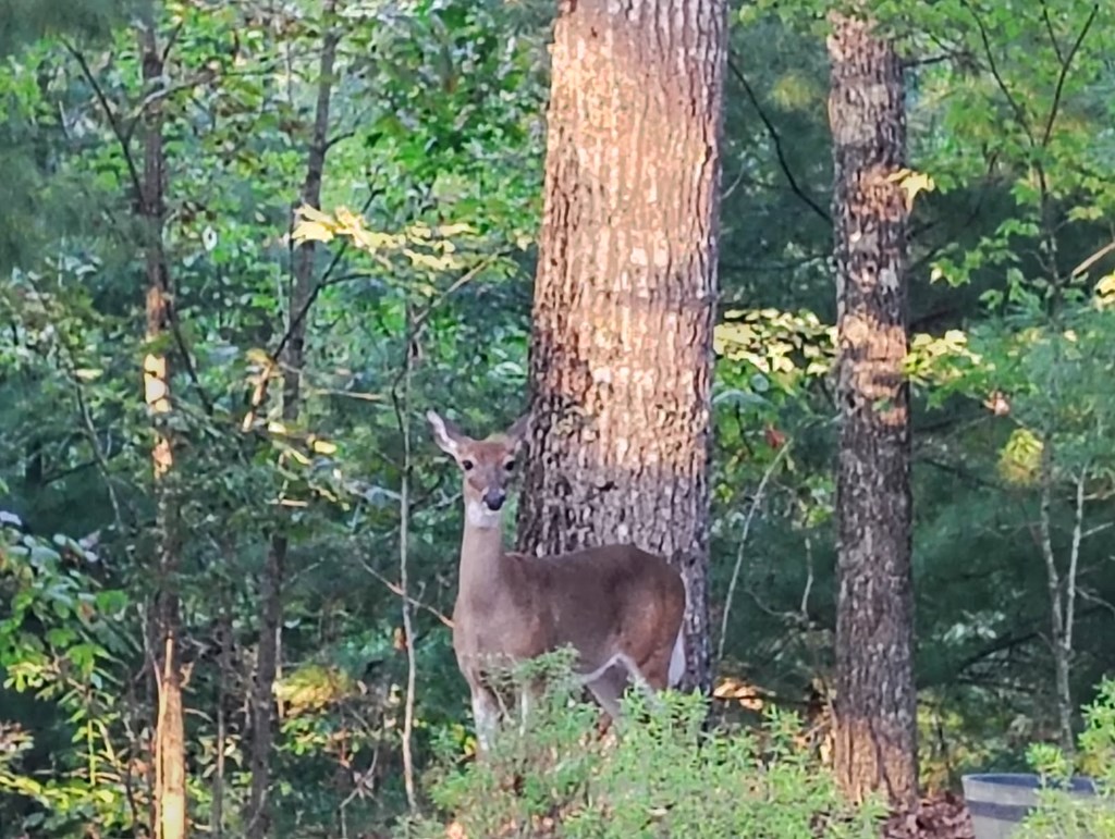 13 Reserve Estates Lane